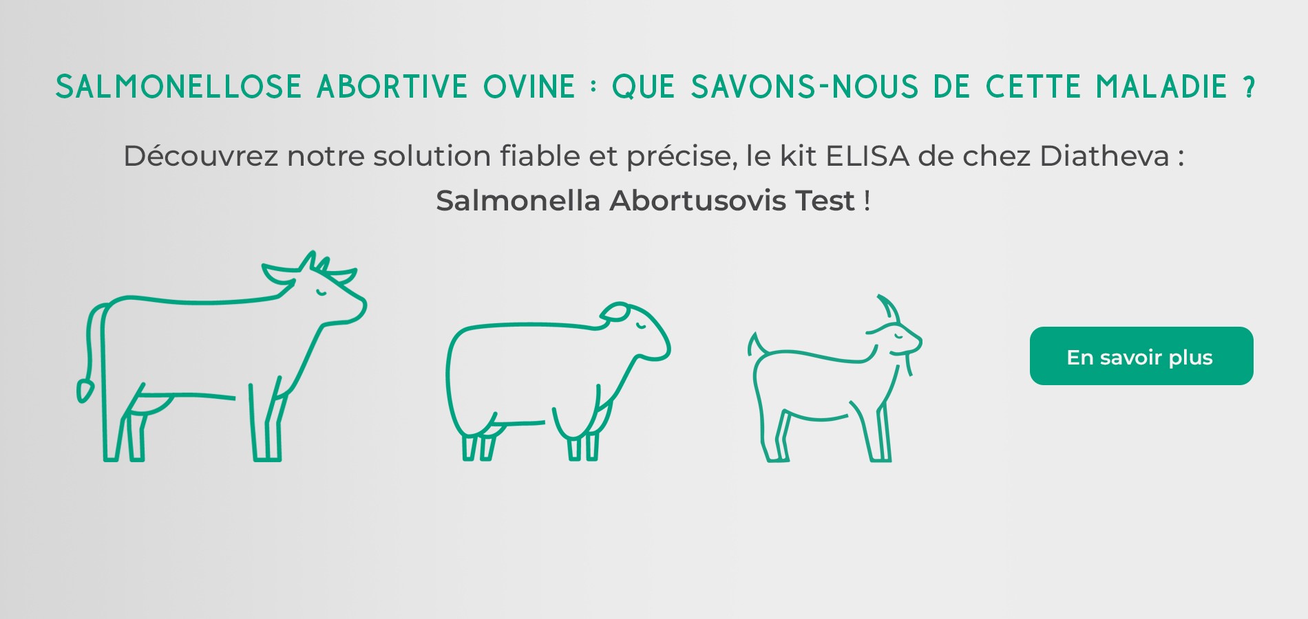 Découvrez notre solution fiable et précise, le kit ELISA de chez Diatheva : Salmonella Abortusovis Test